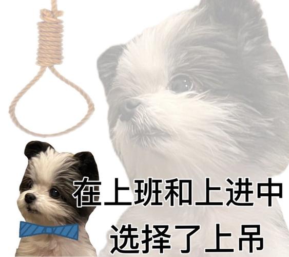 在上班和上进中 选择了上吊