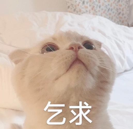 乞求
