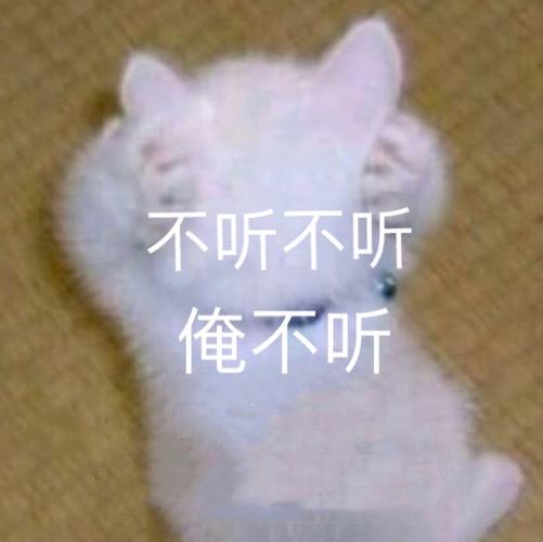 不听不听 俺不听