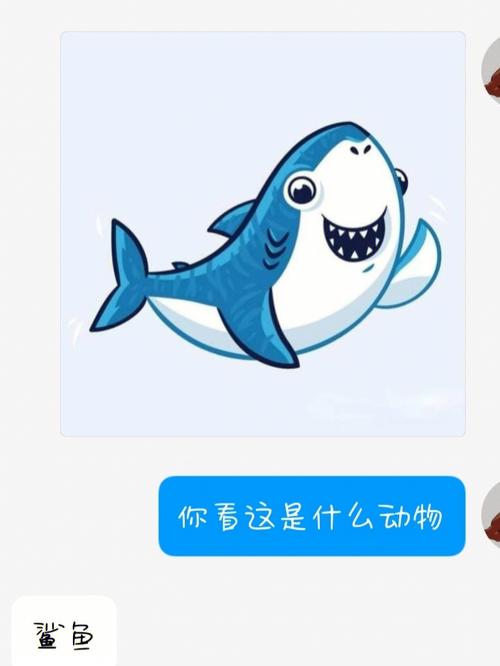 你看这是什么动物 鲨鱼
