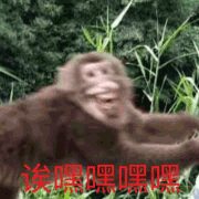 谈嘿嘿嘿嘿