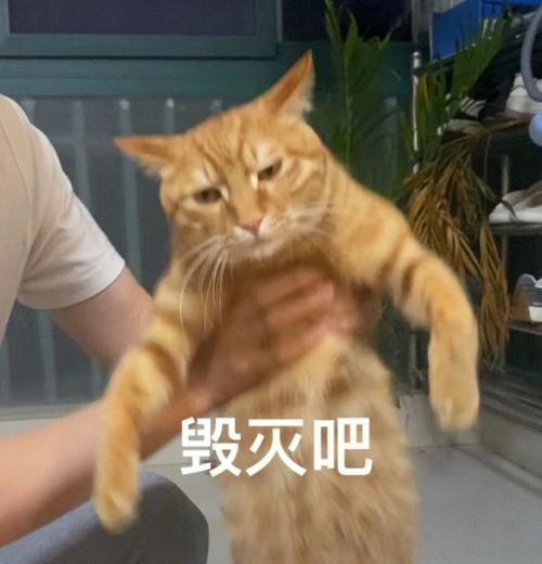 毁灭吧