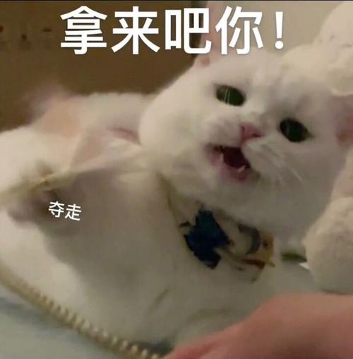 拿来吧你！ 夺走