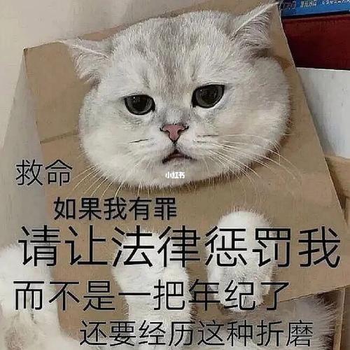 救命 如果我有罪 请让法律惩罚我 而不是一把年纪了 还要经历这种折磨