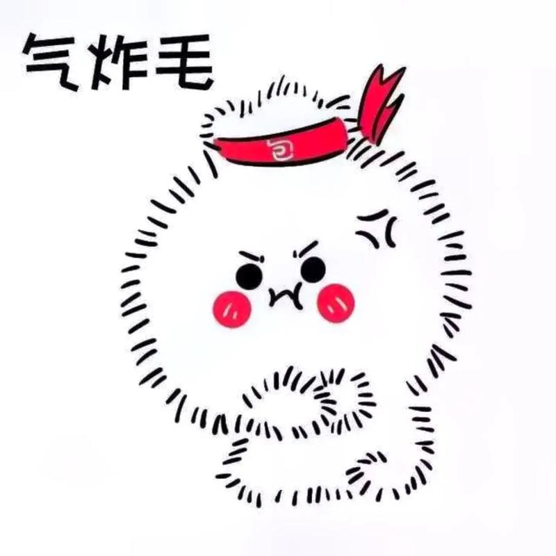 气炸毛