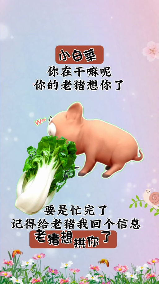 小白菜 你在干嘛呢 你的老猪想你了 要是忙完了 记得给老猪我回个信息 老猪想 拱你了