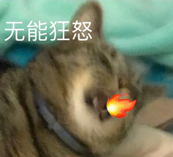 无能狂怒