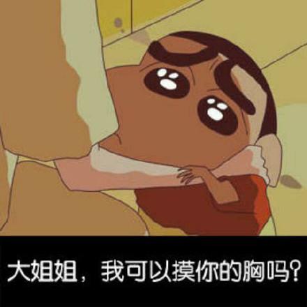 大姐姐，我可以摸你的胸吗？