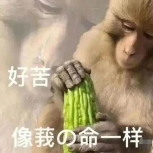好苦 像我の命一样