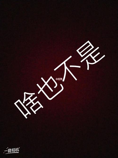 啥也不是 一甜相机