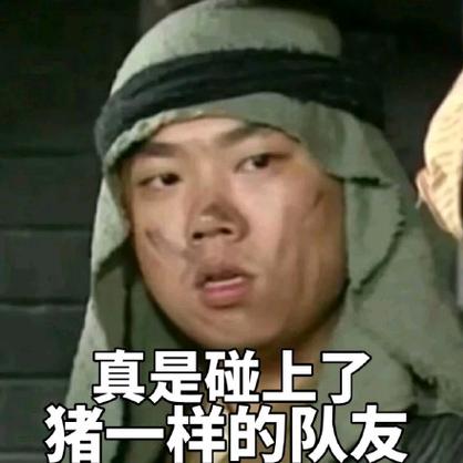真是碰上了 猪一样的队友