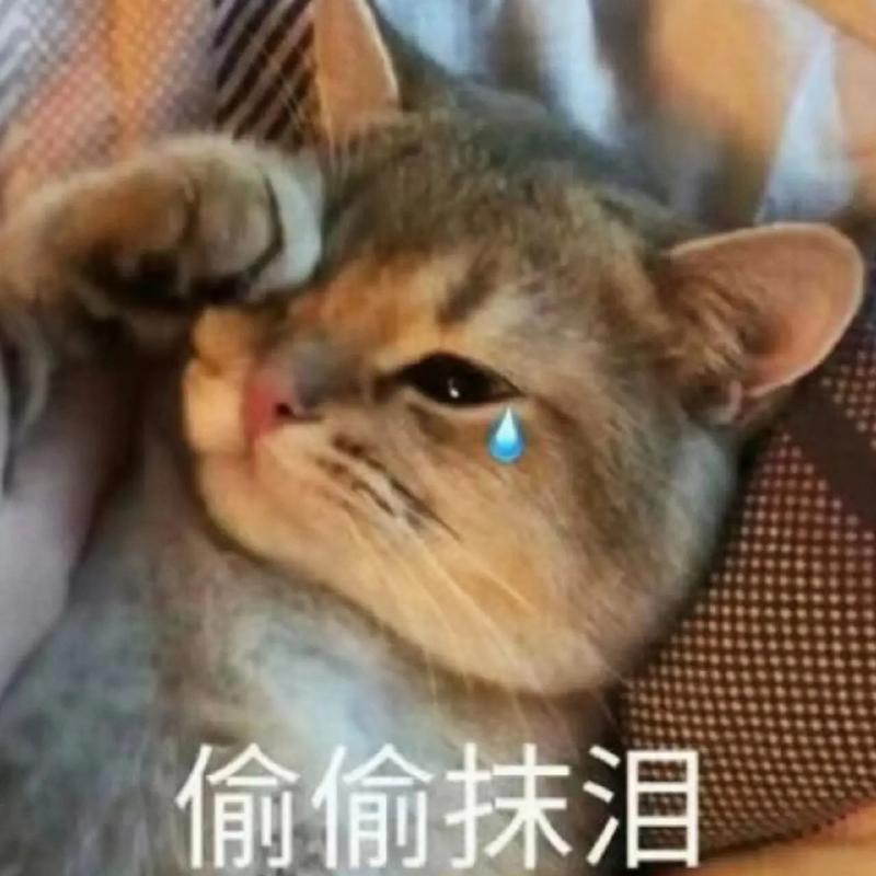 偷偷抹泪