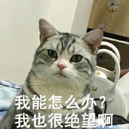 我能怎么办？ 我也很绝望啊