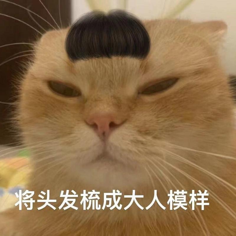 将头发梳成大人模样
