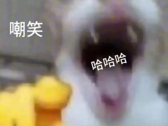 嘲笑 哈哈哈
