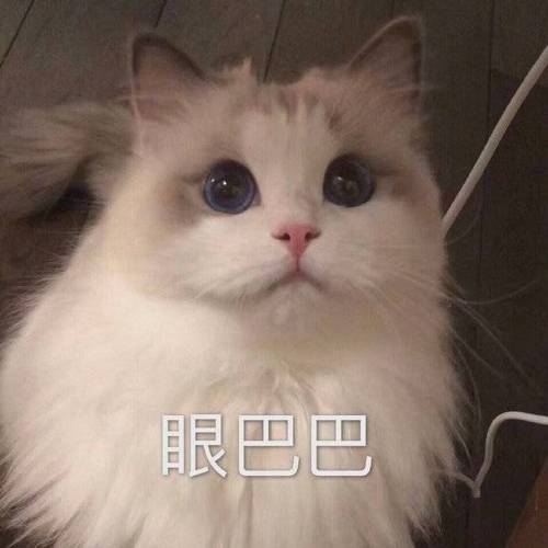 眼巴巴