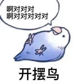 啊对对对 呵对对对对对 开摆鸟