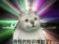 奇怪的知识增加了！