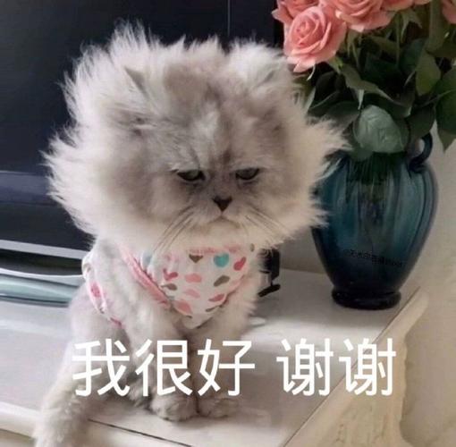 我很好谢谢