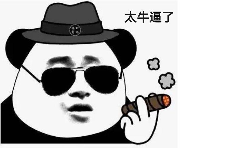 太牛逼了