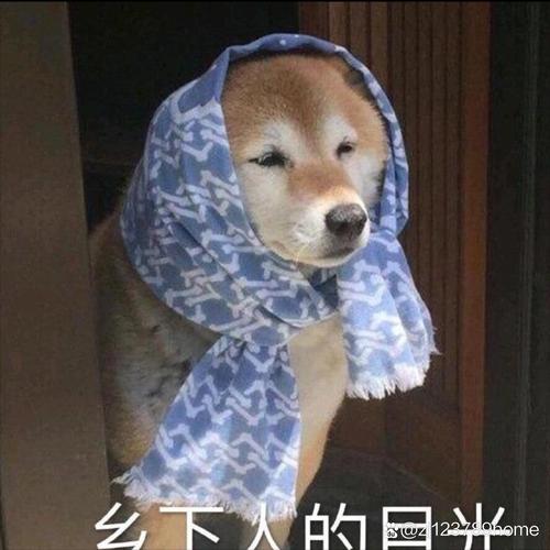 么下人的