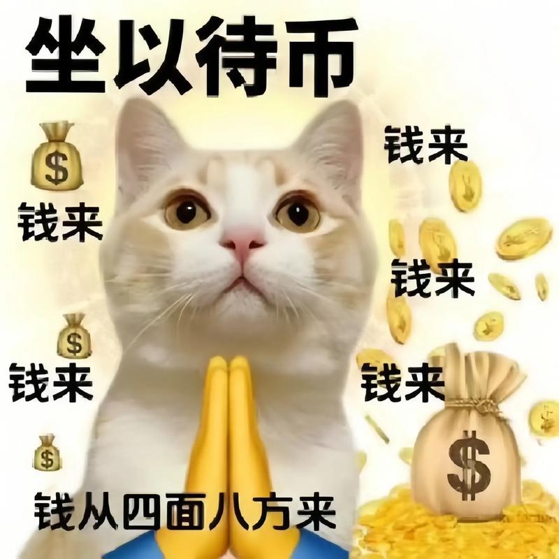 坐以待币 钱来 钱来 钱来 钱来 钱来 钱从四面八方来
