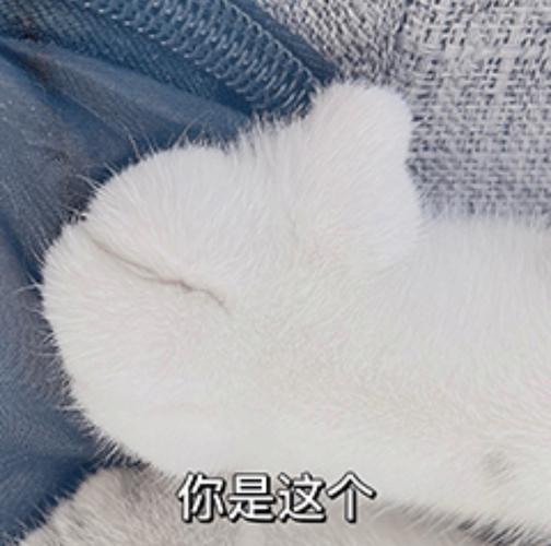 你的是这个