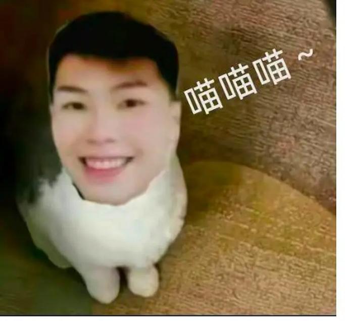 喵喵喵