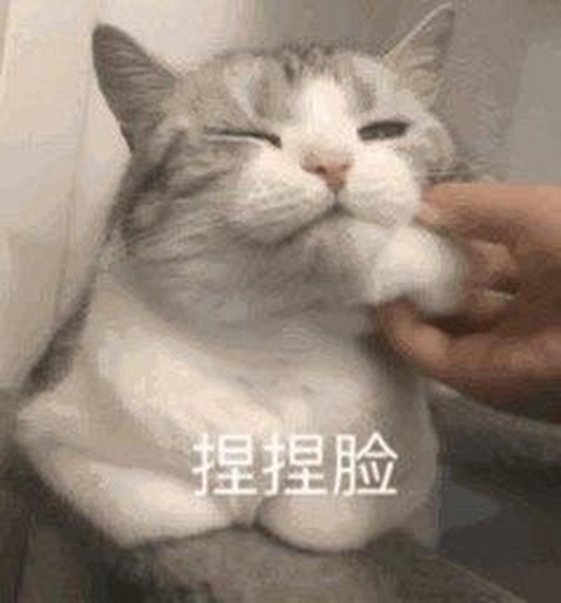 捏捏脸