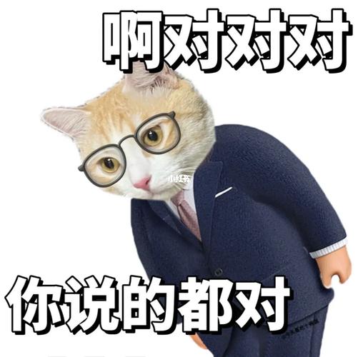啊对对对 你说的都对