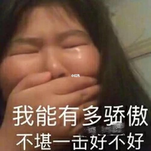 我能有多骄傲 不堪一击好不好