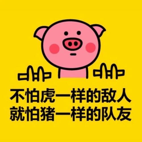 不怕虎一样的敌人 就怕猪一样的队友