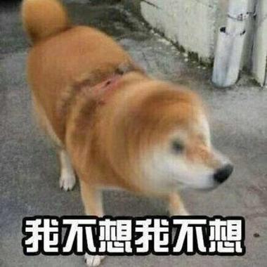 我不想我不想