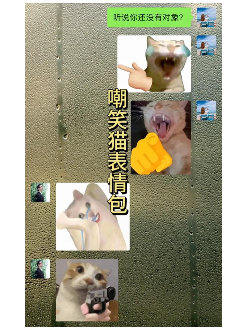听说你还没有对象？ 嘲笑猫表情包