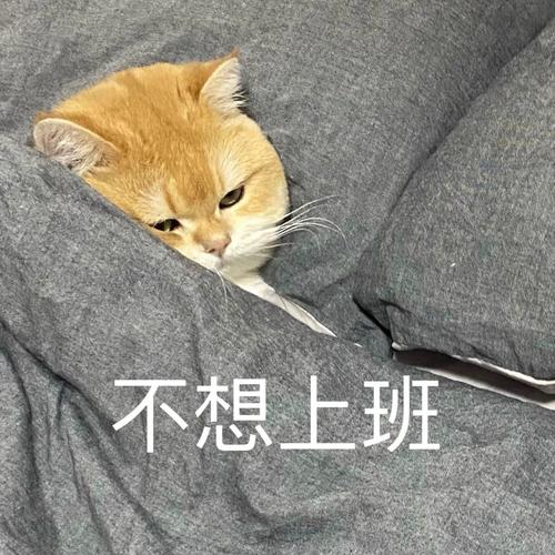 不想上班