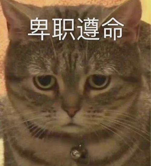 卑职遵命