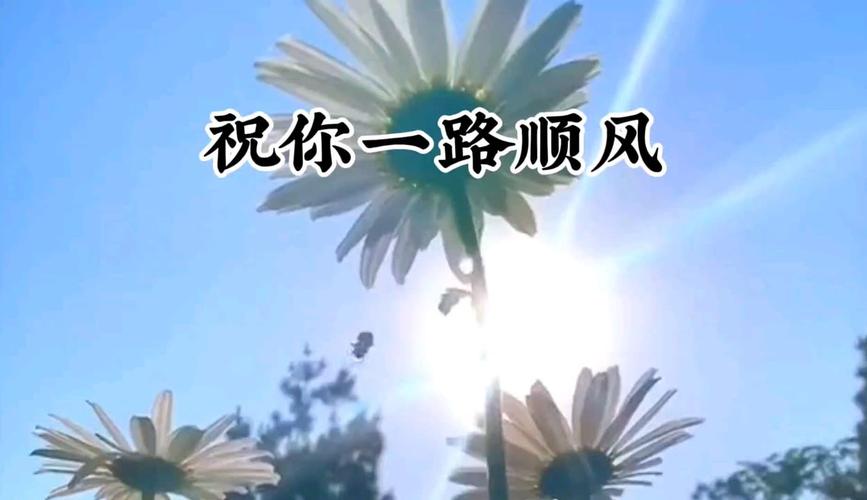 祝你一路顺风