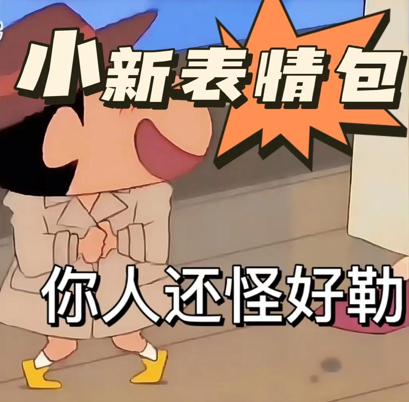 小 新表情包 你人还怪好勒