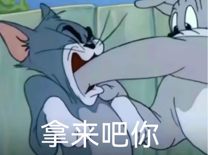 拿来吧你