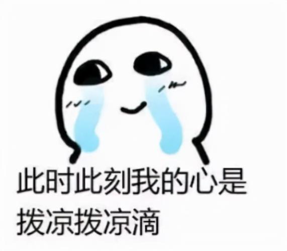 此时此刻我的心是 拨凉拨凉滴