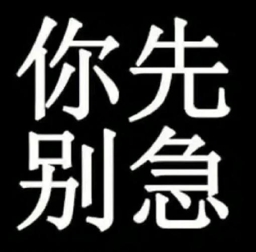 你先 别急