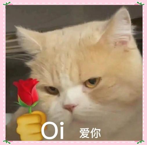 爱你