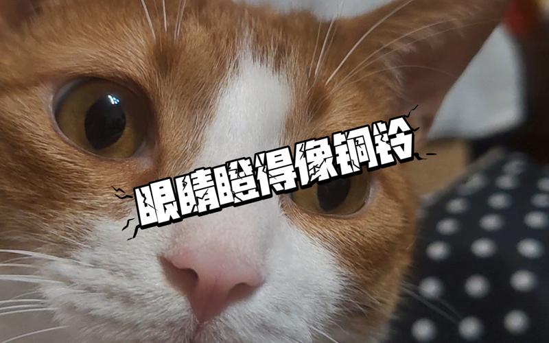 眼睛睡得像铜铃