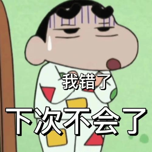 我错了 下次不会了