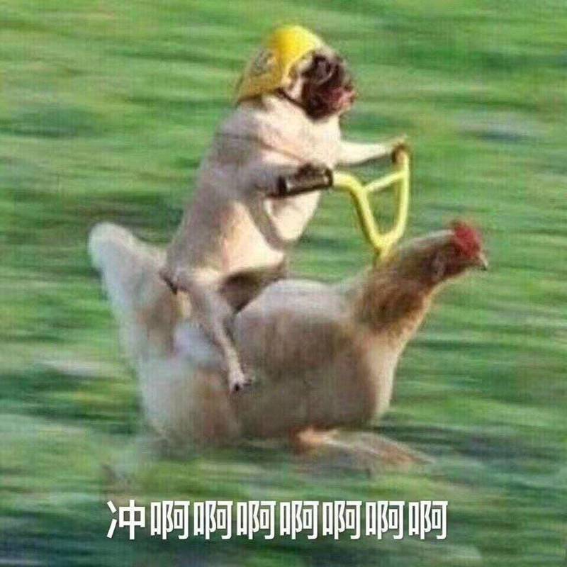 冲啊啊啊啊啊啊啊啊