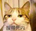 搜得死内
