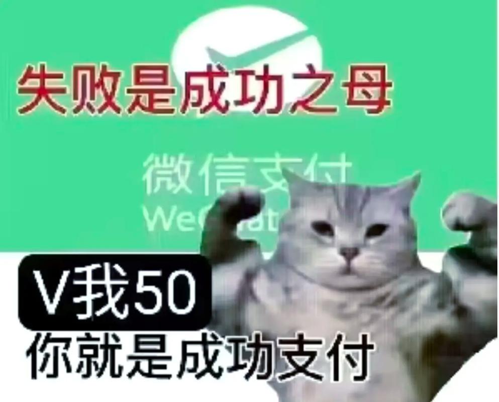 失败是成功之母 微信支付 We V我50 你就是成功支付