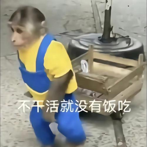不干活就没有饭吃
