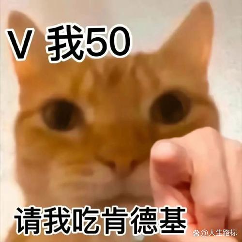 V我50 请我吃肯德基 @人生路标