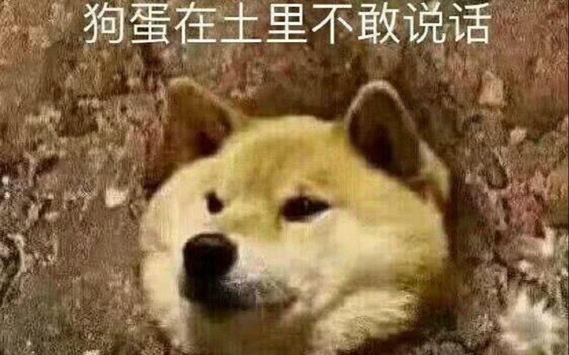 狗蛋在土里不敢说话